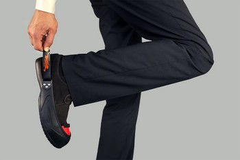 9vis_visitor_pied-details2 9vis_visitor_pied-details2